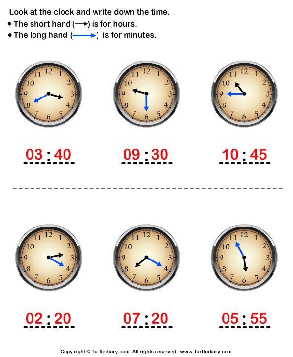 Look At The Clock And Write Time Worksheet Turtle Diary